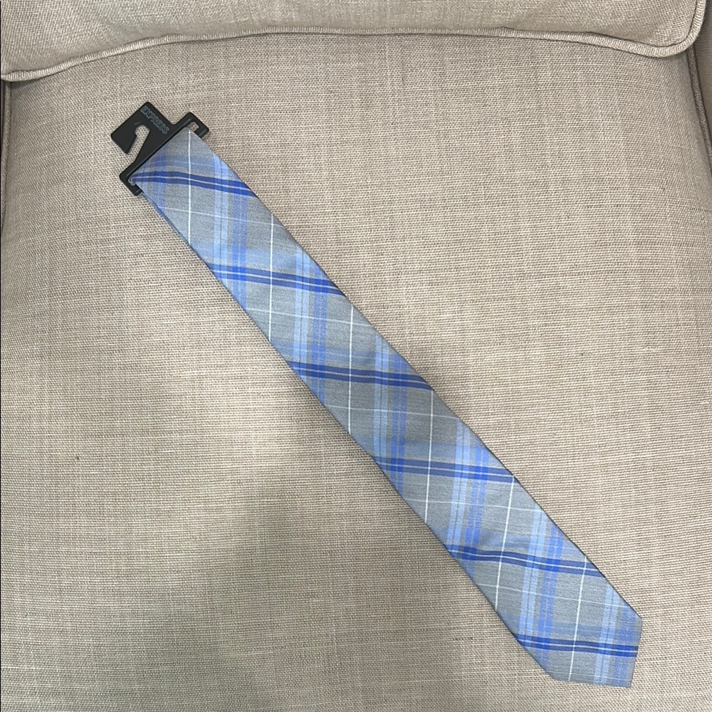 Express Blue and Gray Plaid Tie